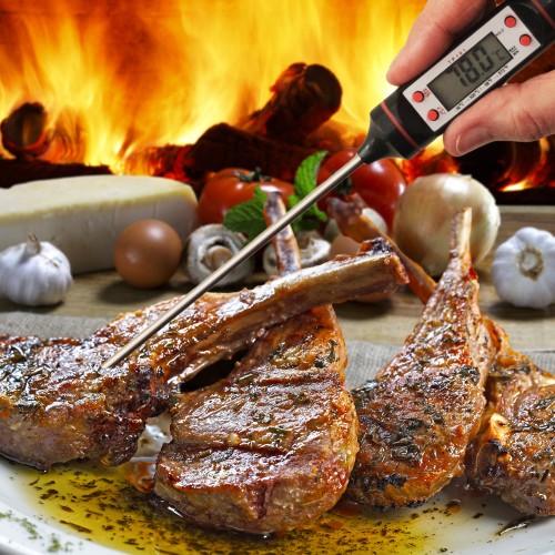 Digitale Vleesthermometer / BBQ thermometer / Voedselthermometer - -50 tot +300 graden Celcius