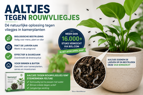 Aaltjes Tegen Rouwvliegjes