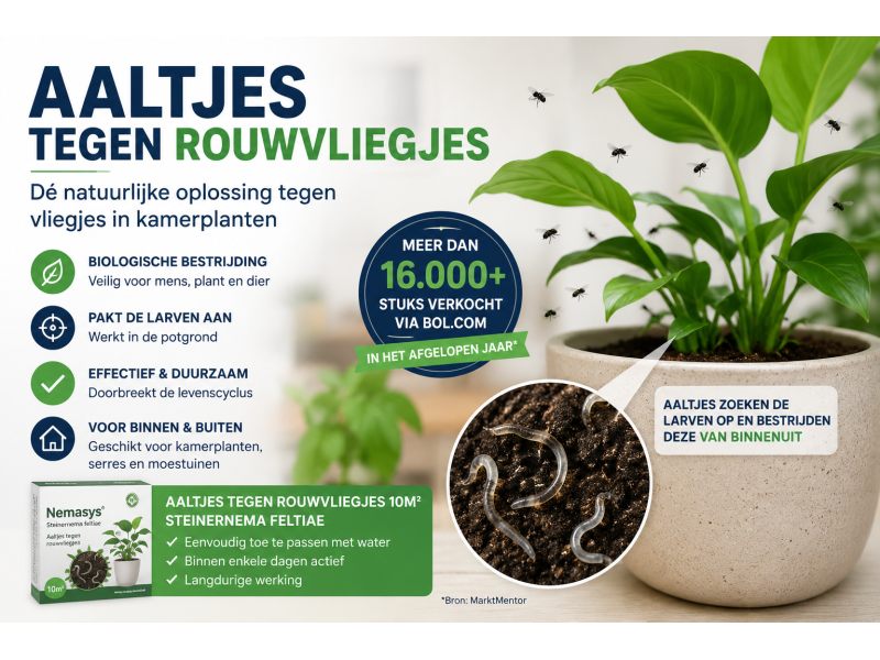 Aaltjes Tegen Rouwvliegjes
