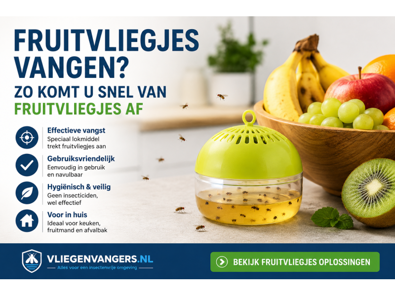 Fruitvliegjes Vangen? Snel Van Fruitvliegjes Af