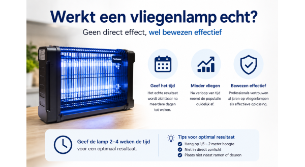 Werkt een vliegenlamp echt?