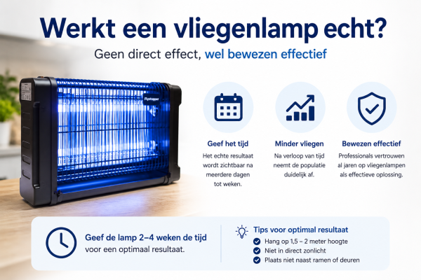 Werkt een vliegenlamp echt?