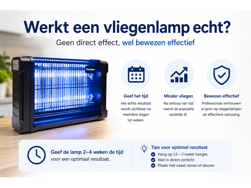 Werkt een vliegenlamp echt?