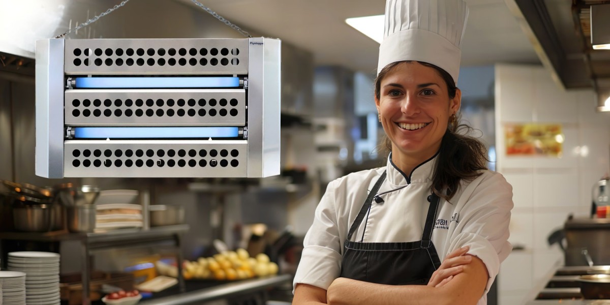 Waarom HACCP een Kleefplaatlamp Vereist