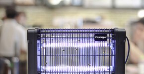 Vliegenoverlast bestrijden: Top 5 Tips & de ultieme oplossing - De Flystopper HV16