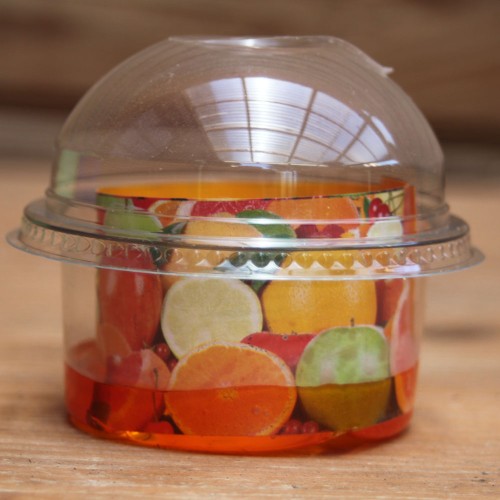 Fruitvliegjes  vanger met lokstof