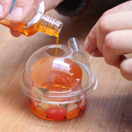 Fruitvliegjes  vanger met lokstof