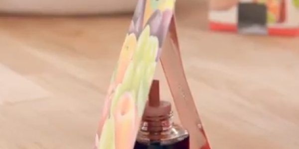 Fruitvliegjes vanger - Welke moet je kiezen?