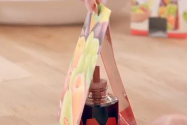 Fruitvliegjes vanger - Welke moet je kiezen?