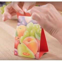 Aeroxon gifvrije Fruitvliegjes vanger