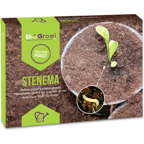 Aaltjes tegen Rouwvliegjes - Stenema 10m² - Rouwvliegjes bestrijden tot 25 kamerplanten - zwarte vliegjes in kamerplanten bestrijden