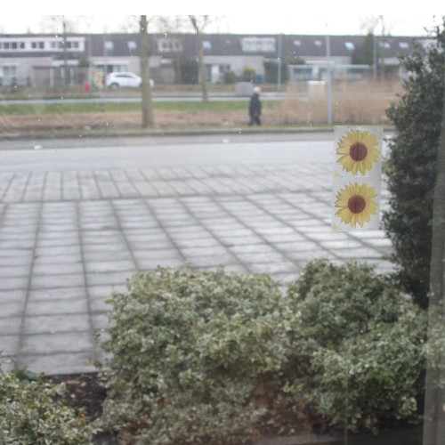 Anti-Vliegen raamstickers 4 stuks