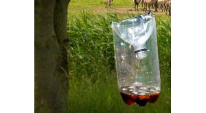 5 Tips om een vliegenplaag te voorkomen